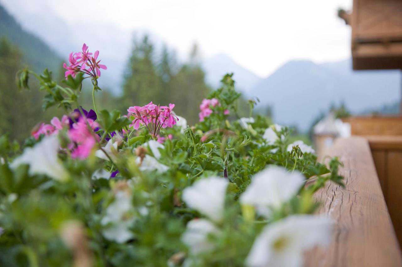 Hotel Chalet Del Brenta Madonna Esterno foto